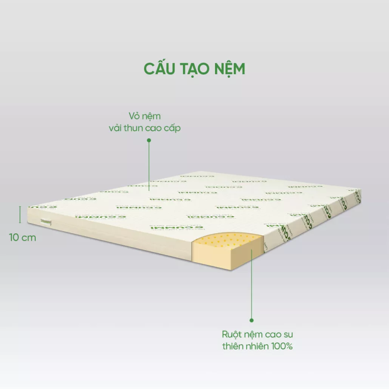 image-2-800x800-1 Nệm cao su thiên nhiên Gummi Classic