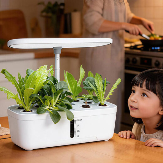 Khám Phá Máy Trồng Thủy Canh Thông Minh Từ Mijia