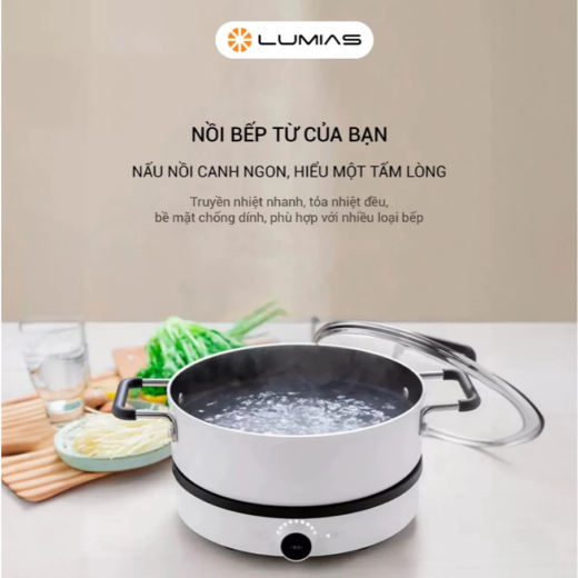 Khám Phá Bếp Từ Mini Lumias LK24-220B: Giải Pháp Nấu Ăn Thông Minh Giá Rẻ